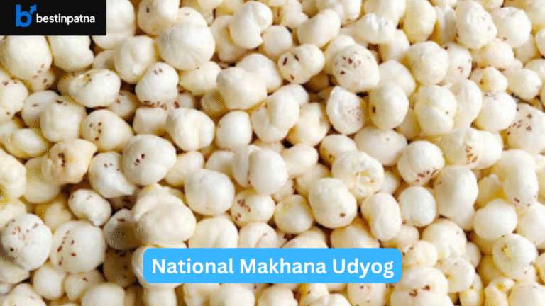 National Makhana Udyog-Makhana Suppliers in Patna