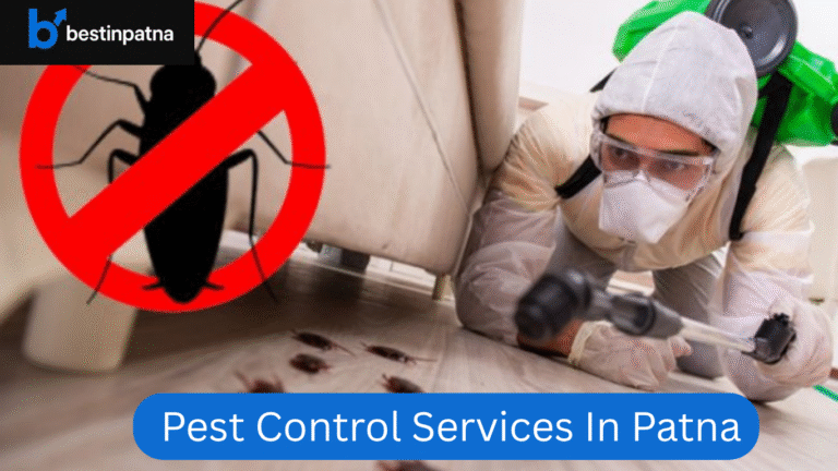 Best 5 Pest Control Services in Patna – Termite & Commercial Pest Treatment Near You