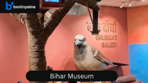 Bihar Museum – Premier Cultural and Historical Attraction in Patna