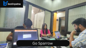 Go Sparrow – Best Digital Marketing Company in Patna